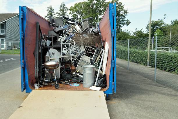 Best Yard Waste Removal  in Washington, DC